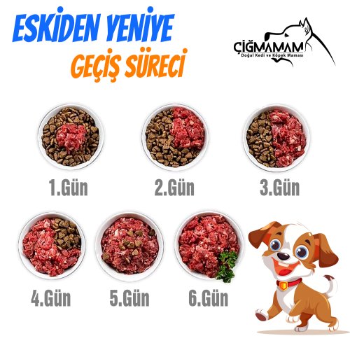 Kırmızı Etli Tahılsız 12 Kg 500 Gr 24 Adet Çiğmamam Barf Köpek Maması